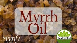 Myrrh Essential Oil All You Ever Need To Know [upl. by Gone458]