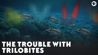 The Trouble With Trilobites [upl. by Nathanson91]