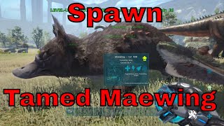 ark  How To Spawn In A Tamed Maewing in ark [upl. by Kenwee]