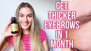 I Used Castor Oil For Thicker Eyebrows It Really Works 1 month experiment [upl. by Natika]