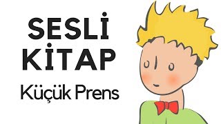 Küçük Prens Sesli Kitap Dinle Oku Tek Parça Masal Abbas Tekin [upl. by Enilrem]