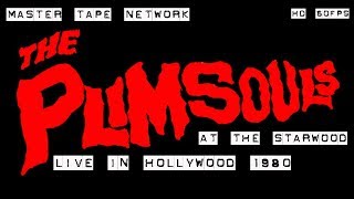 The Plimsouls Live in Hollywood 1980  The Starwood Master video Tape 60fps HD [upl. by Artined499]