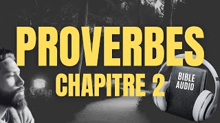 PROVERBE 2  LA BIBLE AUDIO avec textes [upl. by Batish]