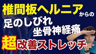 【坐骨神経痛の治し方】椎間板ヘルニアからの足のしびれや腰痛を改善させるストレッチ [upl. by Rosenzweig]