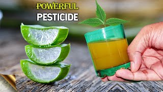 ALOE VERA  5 INGREDIENTS  POWERFUL ORGANIC PESTICIDE FORMULA  NEEM OIL ALTERNATIVE PESTICIDE [upl. by Odirfliw166]