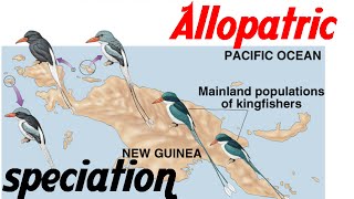 Allopatric speciation animation [upl. by Zachary]