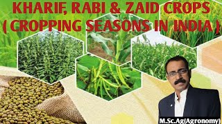 Kharif Rabi and Zaid Crops  Cropping seasons in India [upl. by Harutak]