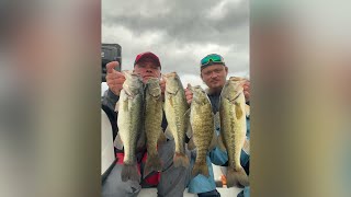 Norris Lake Bass Fishing February 8th 2025 [upl. by Alehc427]