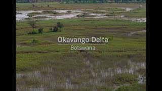 Follow us to the Okavango Delta in Botswana [upl. by Akeenat613]