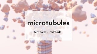 Microtubules tentpoles amp railroads [upl. by Pegma]