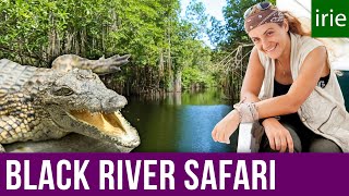 Black River Safari Wetlands Jamaica Video Guide [upl. by Madian649]