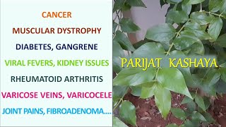 HOW TO IDENTIFY PARIJAT TREE  KASHAYA  BENEFITS  Dr Khadar  Night Jasmine  Biophilians Kitchen [upl. by Nnahtur]