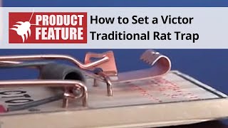 How to Set a Victor Traditional Mouse Trap  DoMyOwncom [upl. by Aryc]