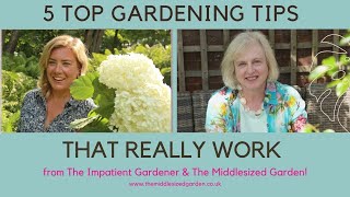 Top 5 gardening tips that really work with The Impatient Gardener [upl. by Annadroj814]