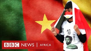 Afcon 2021 preview Whos going to shine in Cameroon  BBC Africa [upl. by Enyaht]