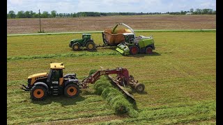 Making COW CHOW Wheat silage HARVEST 2020 [upl. by Clellan]