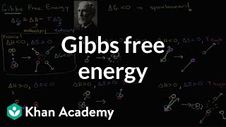 Gibbs free energy and spontaneous reactions  Biology  Khan Academy [upl. by Semyaj]