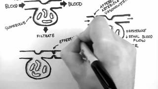 GFR 1  Control of GFR [upl. by Keeley497]
