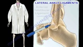 Ankle Ligaments Anatomy  Everything You Need To Know  Dr Nabil Ebraheim [upl. by Tratner]