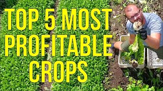 Unlock the Secret to Maximum Profits The Top 5 Most Lucrative Crops for Market Gardeners Revealed [upl. by Hadik]