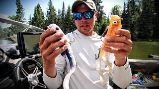 Comparing 8 Popular Musky Lures [upl. by Akemal]