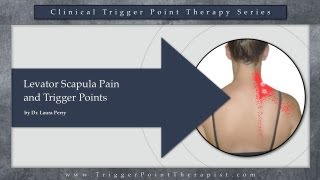 Levator Scapula Pain and Trigger Points [upl. by Elletsyrk557]