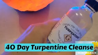 40 Day Turpentine Cleanse My Experience [upl. by Guendolen573]