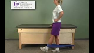 Hip Strengthening Exercises  Theraband Resistance Exercises [upl. by Joshia]