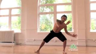 Introduction to Capoeira [upl. by Thier884]