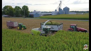 2020 Corn Silage Harvest at Congress Lake Farms [upl. by Aisatana]