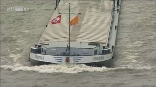 Doku Leben auf dem Fluss  Vom Rhein zur Donau HD [upl. by Oelak]