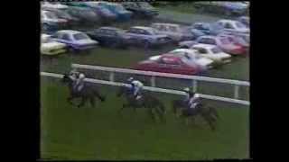 1982 Tingle Creek Handicap Chase [upl. by Lezley136]