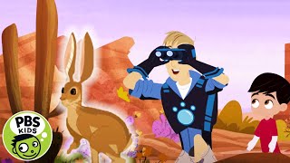 Wild Kratts  Jackrabbit Animal Powers  PBS KIDS [upl. by Chi]