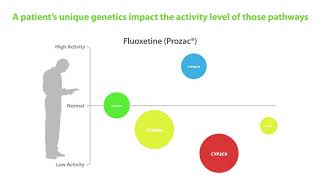 Pharmacogenetics [upl. by Tlaw]