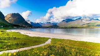 Uplifting Music  light positive happy music Gullrosøya  1 hour [upl. by Anayt]