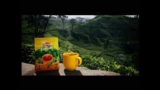 Lipton Ceylonta Sunshine Advertisement [upl. by Assinna]