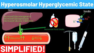 Hyperosmolar Hyperglycemic Nonketotic Syndrome  Panmedicad [upl. by Nesto]