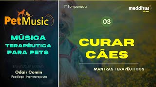 Música para Curar Cães  Mantra Terapêutico [upl. by Carolan]