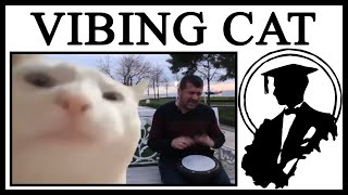 How Did We Get To Cat Vibing To Ievan Polkka [upl. by Wulfe]