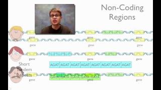 DNA Fingerprinting [upl. by Marrin652]