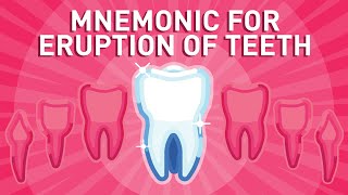 Eruption of Teeth  Mnemonic [upl. by Peterec]