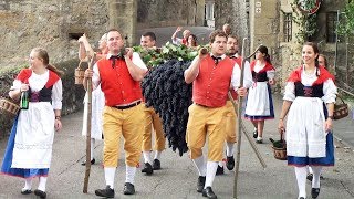 Kompletter Festzug Winzerfest Besigheim 2017 [upl. by Notsag]