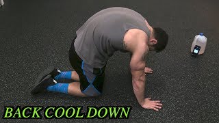 5 Minute Back Static Stretching Routine  Cool Down [upl. by Aneem]