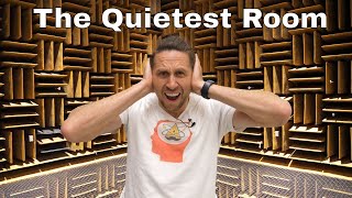 The Loudest Sound In The Quietest Room [upl. by Bland605]