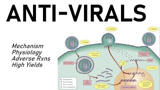 Antiviral Pharmacology [upl. by Ruthy]