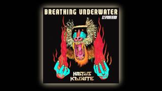 Hiatus Kaiyote Breathing Underwater DJ Spinna Galactic Soul Remix Audio [upl. by Cassandra]