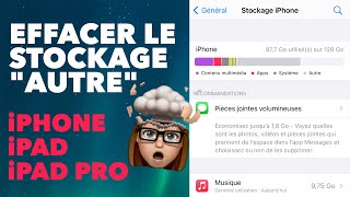 Effacer le stockage quotAUTREquot Données système sur iPhone iPad iPad Pro [upl. by Ellekcim]