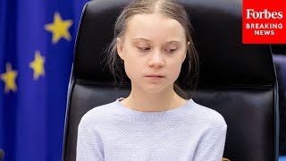 GOP Lawmaker Grills Greta Thunberg On quotPanicquot Rhetoric China And India Emissions [upl. by Blen265]