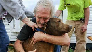 Animals Reunited With Owners After Years [upl. by Netsoj277]