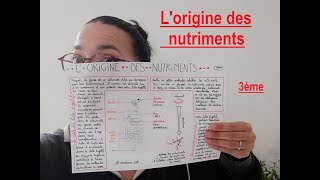 Lorigine des nutriments  3ème  Madame SVT [upl. by Mcnair293]